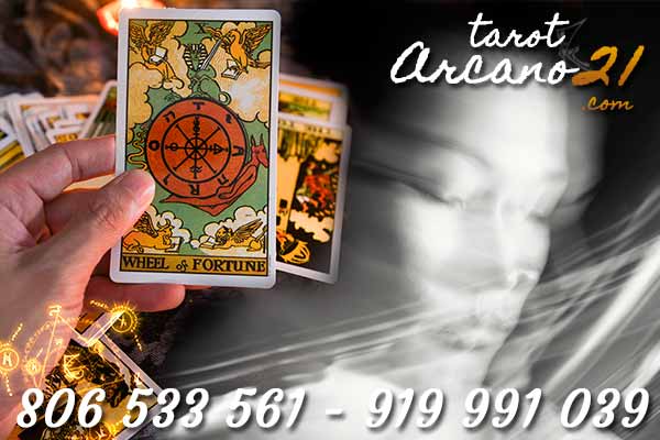 Una correcta interpretación de tus sueños con ayuda de las cartas Una correcta interpretación de tus sueños con ayuda de las cartas